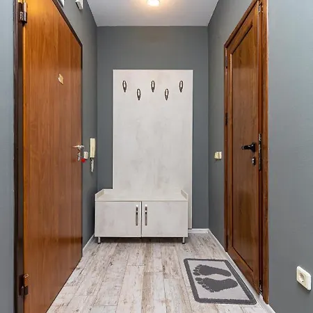 Modernly-designed 1bd With A Terrace Apartment Plovdiv
